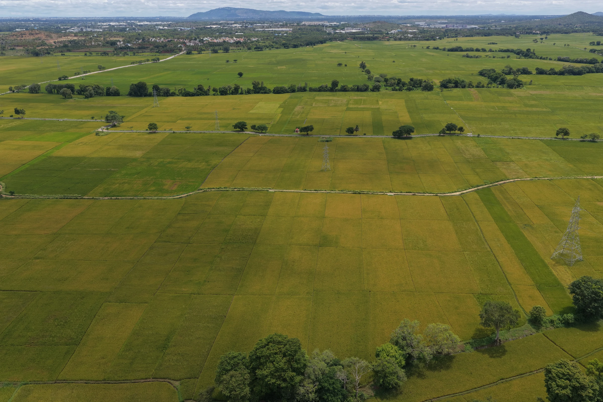 Green fields and landscape patterns photographed from above by Mamathesh Gowda