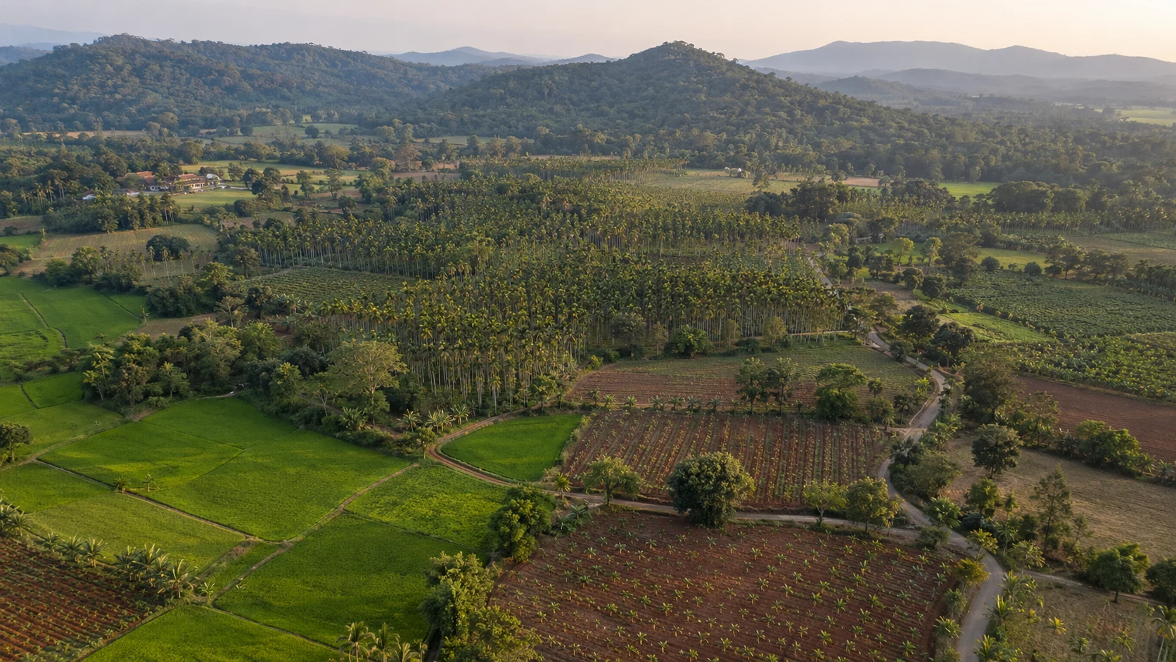 Illustrative wide countryside view of a stay and its approach lane
